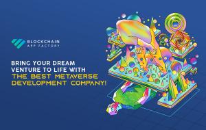 Metaverse Development Company