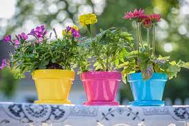 Flower Pots and Planters Market