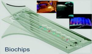 Biochip Market