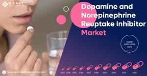 Dopamine and Norepinephrine Reuptake Inhibitor Market