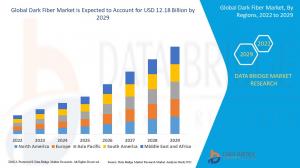 Dark Fiber Market