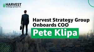 Harvest Strategy Group Onboards New COO, Pete Klipa