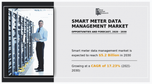 Smart Meter Data Management Market