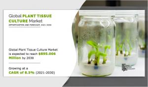 Plant Tissue Culture Market