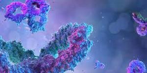 Global Plasma Fractionation Market