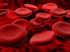 Global Plasma Fractionation Market