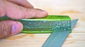 Aloe Vera Extracts Market