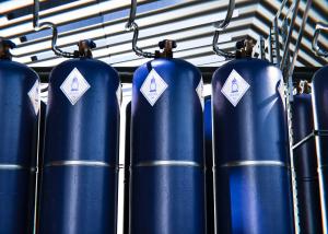 F2/N2 Gas Mixture Market