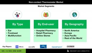 Global Non-Contact Thermometer Market seg