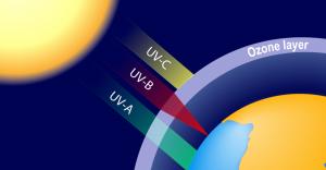 UV Absorbers market