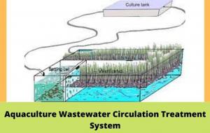 Aquaculture Wastewater