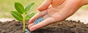 Sulfur Fertilizers Market