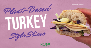 Meliora Plant-Based Turkey Style Slices