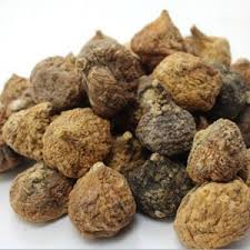 Global Seed Testing Market