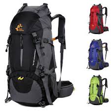 Global Backpacks Market