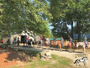 Horseback riders in a group