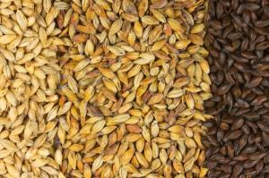 Malted Barley Market Analysis