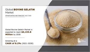 Bovine-Gelatin Market Report