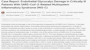 Case Report Endothelial Glycocalyx Damage in Critically ill Patients With SARS CoV2 Related Multisystem Inflammatory Syndrome