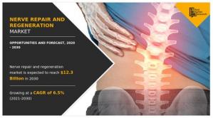 Nerve Repair and Regeneration Market bu