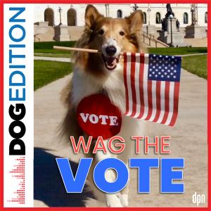 Wag The Vote episode of DOG EDITION from Dog Podcast Network