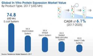 In Vitro Protein Expression Market