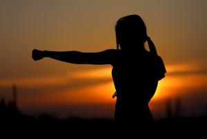 Self-Defense Products Market