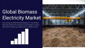 Biomass-Electricity-Market