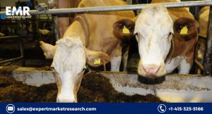 Animal Feed Market