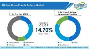 Li-Ion Pouch Battery Market