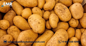 Potato Protein Market