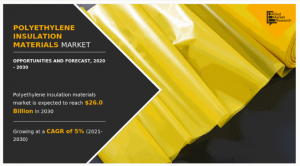 Polyethylene Insulation Materials Market11