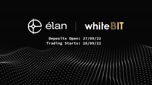 Elan Future Pioneers Accessible Energy on the Blockchain