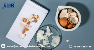 Eggshell Membrane Derivatives Market