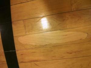 hard wood floor panelization