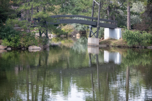 Arapahoe Lake free of algae