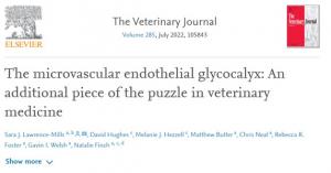 The microvascular endothelial glycocalyx An additional piece of the puzzle in veterinary medicine