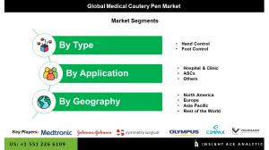 Global Medical Cautery Pen Market seg