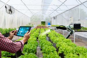 Greenhouse Horticulture Market Shows Huge Demand and Future Scope Including Top Players