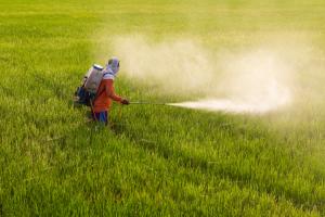 Agrochemicals Market Size, Global Demand, Types, Application, End User, Growth, Region and Forecasts, 2020-2030