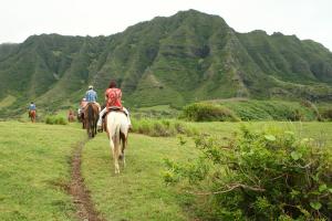 Adventure activities include fishing, snorkeling, surfing, diving, kayaking, stand-up paddleboarding, and extensive hiking and equestrian opportunities