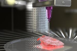 Global 3D Bioprinting Market