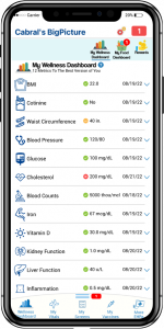 TheBigPicture's Revolutionary Wellness Dashboard