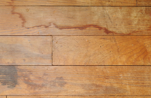 Water on hard wood floors can cause damage