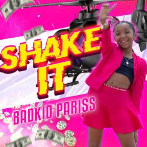 Album cover for "SHAKE IT"