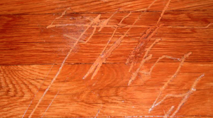Scratches on hard wood floors