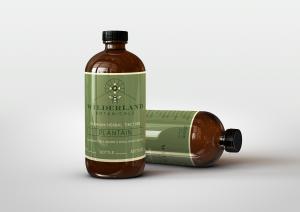 Wilderland Botanicals Broadleaf Plantain Tincture