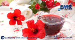Hibiscus Extract Market