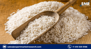 Rice Protein Market