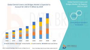 Global Dental Crowns and Bridges Market
